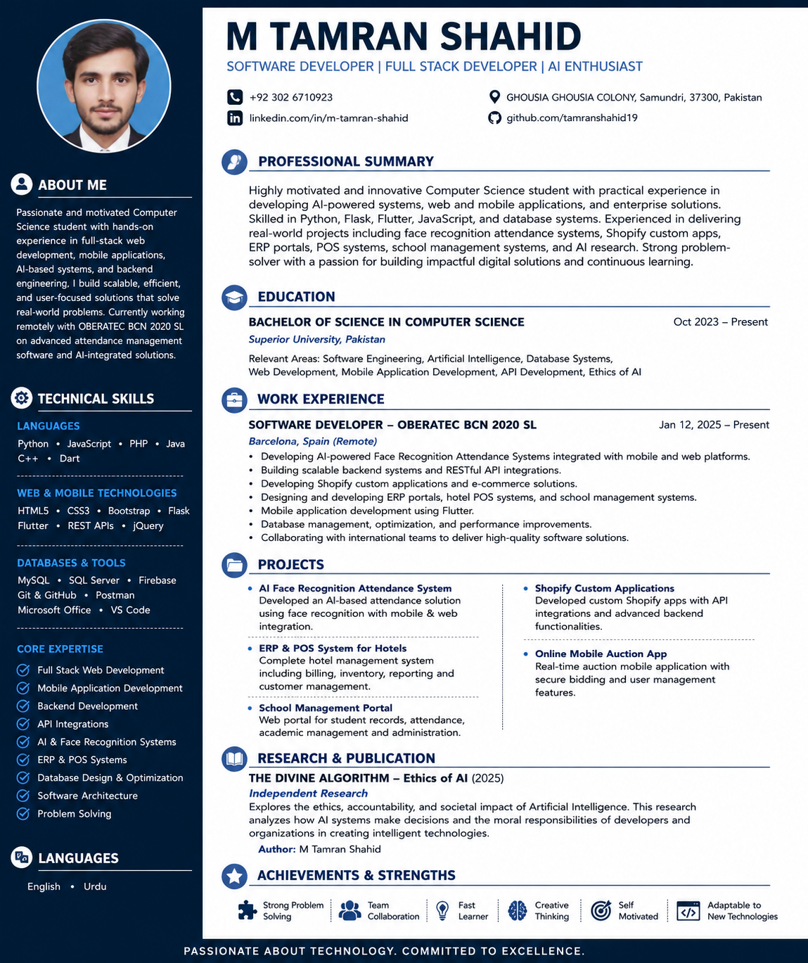 Professional CV preview